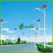 Professionelle weiße Handelssolarbeleuchtung der Farbe120w mit PV-Sonnenkollektoren