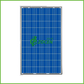 niedriges Eisen 230W hohes transmision polykristalline Sonnenkollektoren für Kraftwerk