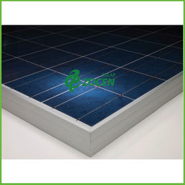 niedriges Eisen 230W hohes transmision polykristalline Sonnenkollektoren für Kraftwerk