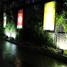 Energiesparendes Solar-LED-Flut-Lichter CER im Freien RoHs für Landschaftsbeleuchtung