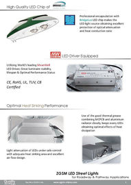IP66 24V Straßenlaterne DCs LED 110v 200v 230v, lichtemittierende Dioden